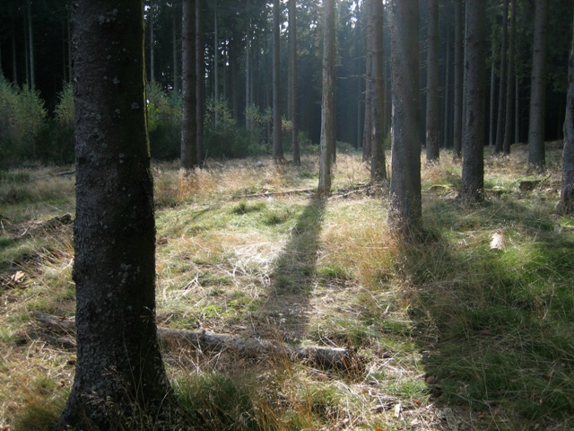 Saint-Michel - Borzée 2007